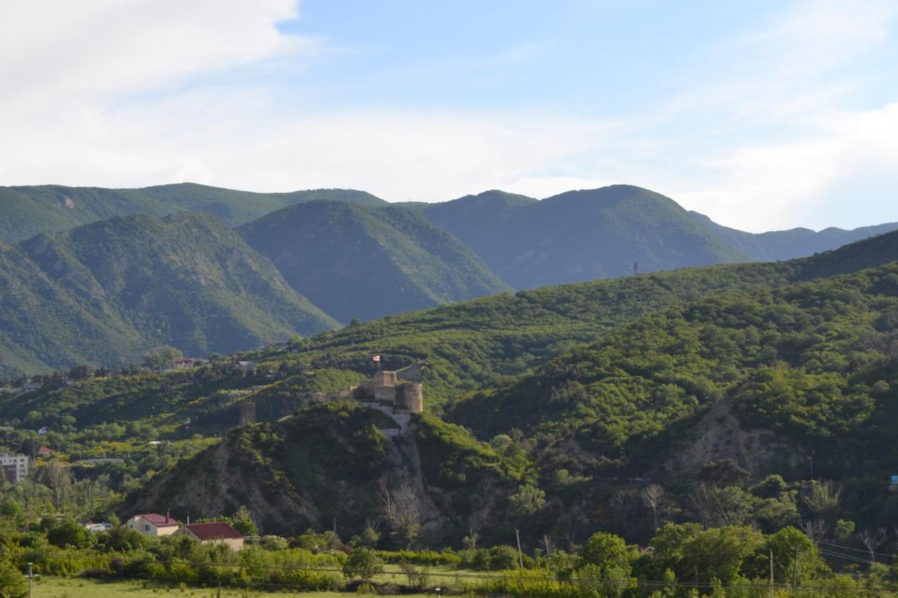 Zedazeni Hotel Mtskheta Ngoại thất bức ảnh